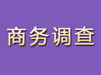 浏阳商务调查